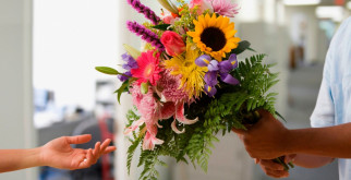 Фазан: Пухленький красавец с ярким оперением