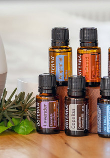 Удивительное разнообразие животных: путешествие по материкам