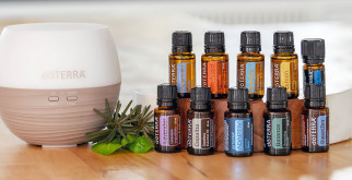 Удивительное разнообразие животных: путешествие по материкам