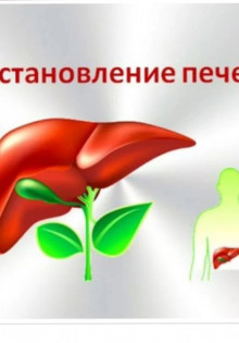 Большой кроншнеп: Путешественник с длинным клювом