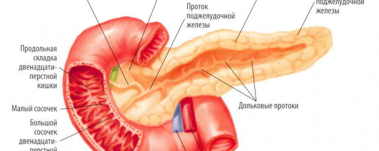 Что происходит при кессонной болезни: причины, симптомы и лечение