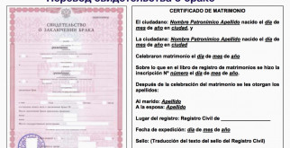 Медоед: Самый Смелый Хищник в Мире Животных