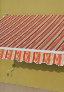 Что за птица поет? Раскрываем тайны птичьих мелодий