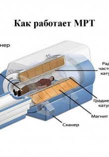 Как работает МРТ: Понимание технологии и процесса