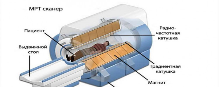 Как работает МРТ: Понимание технологии и процесса