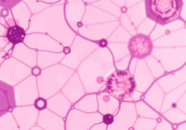 Мазок на флору: понятный разбор — зачем нужен, как готовиться и что значат результаты