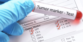 Самая опасная акула: мифы и реальность о морских хищниках