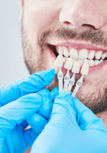 Оперенные обитатели Владимирской области: удивительный мир птиц