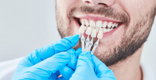 Оперенные обитатели Владимирской области: удивительный мир птиц