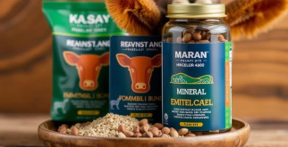 Минеральные добавки для животных как ключ к продуктивности и здоровью
