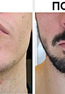 Анималистика: Погружаемся в Удивительный Мир Животных