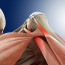 Симптомы повреждения плечевого сустава