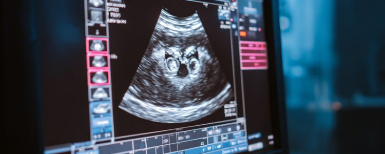 Комплексное УЗИ брюшной полости в Белгороде: что входит в исследование