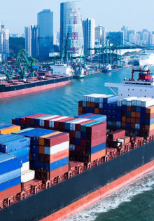 Сказочные животные: удивительный мир, где звери становятся героями