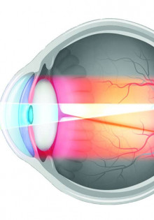 Красные волки: Загадочные охотники Америки