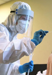 Генетты: Удивительные пушистики, о которых вы не знали