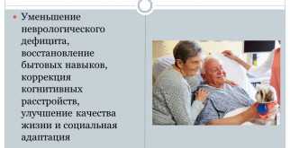 Как долго ждать: когда котята открывают свои глазки?