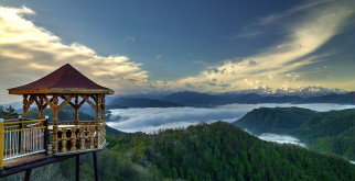 Кто же на самом деле владеет самым большим мозгом в мире?