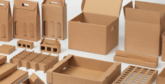 Тайны пернатого мира: удивительная классификация птиц