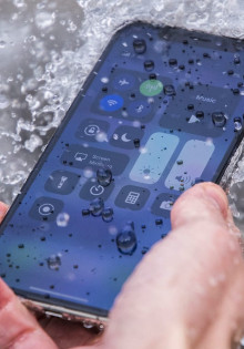 Удивительный животный мир Австралии: от кенгуру до ядовитых пауков