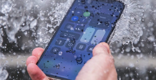 Удивительный животный мир Австралии: от кенгуру до ядовитых пауков