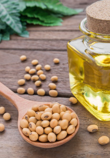 Почему волки воют на луну: мифы и реальность