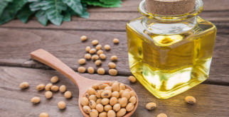 Рынок масла соевого: стабильная отрасль