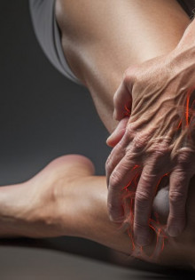 Суматранский тигр: Удивительный король джунглей