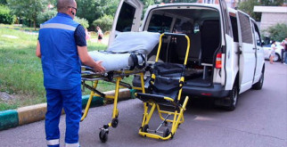 Бобры: Удивительные строители природы и их удивительные фото