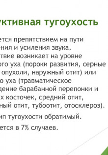 Зеленая жаба: Тайны и чудеса нашей природы