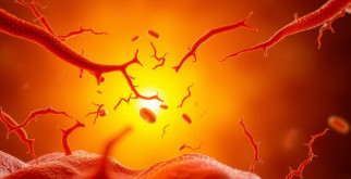 Как победить Хеликобактер: всё о лечении и профилактике