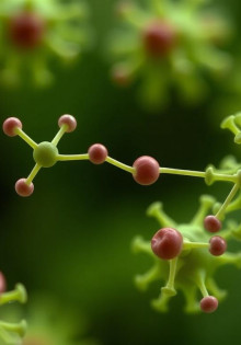 Антимюллеров гормон (АМГ): основные сведения