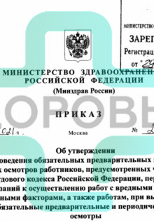 Медведи: величественные гиганты леса и их тайны