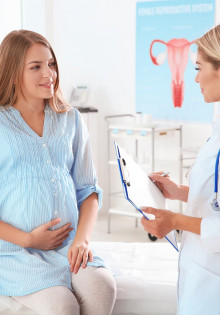 Сколько у черепахи зубов? Загадочные тайны рептилий