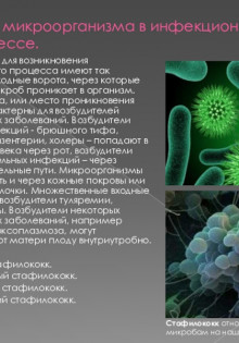 ПАТОГЕНЫ И ТОКСИНЫ, ВЫЗЫВАЮЩИЕ БОЛЕЗНИ ПИЩЕВОГО ПРОИСХОЖДЕНИЯ