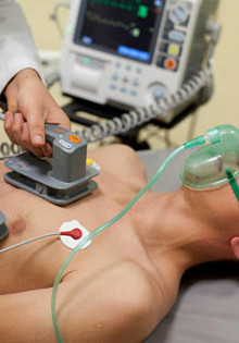 Кречет: Величественная птица тундры и гор