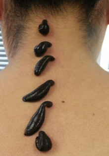 Самые ядовитые змеи: встречайте опасных обитателей нашей планеты!