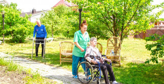 Рябчики: загадочные птицы лесов и лугов
