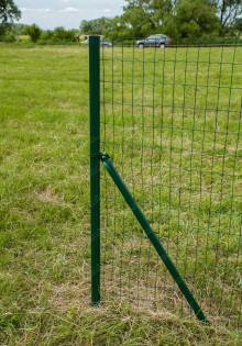 Удивительное создание: Ай-ай — таинственный обитатель Мадагаскара