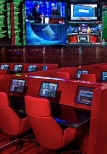 Загадочный обыкновенный фазан: где живет король лесов и полей?