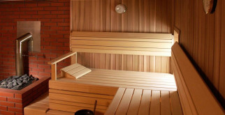 Панды и их лакомства: Разбираемся, что едят эти милые создания