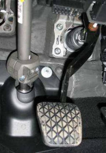 Ладожская кольчатая нерпа: тайны и чудеса северных вод