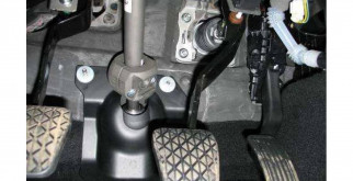 Ладожская кольчатая нерпа: тайны и чудеса северных вод