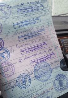 Погружение в мир млекопитающих: кто они и почему это важно?