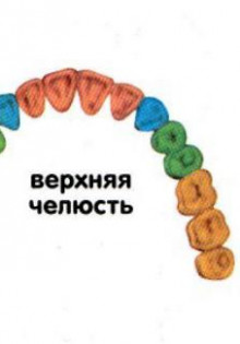 Что такое остеопения и как лечить: все, что нужно знать