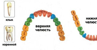 Что такое остеопения и как лечить: все, что нужно знать