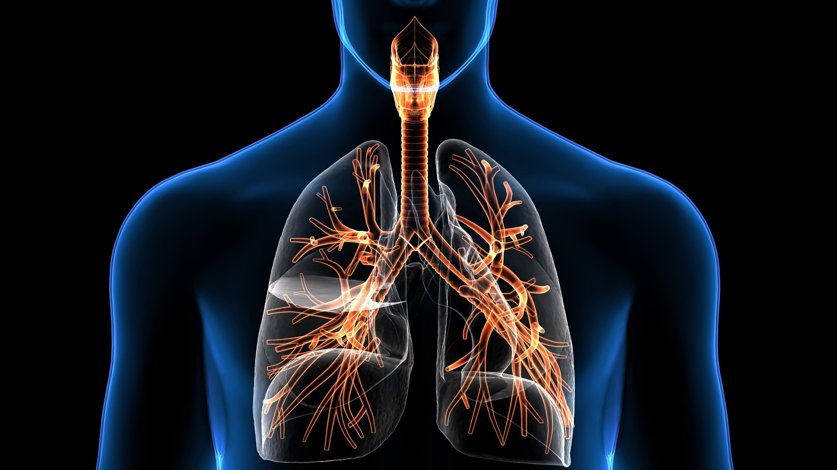Методы исследования дыхательной системы